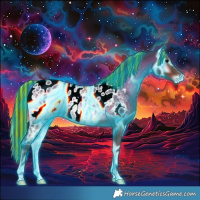 Horse Color:Painted Thunderstruck Brown Ice Onyx Appaloosa