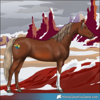 Horse Color:Chestnut Tobiano