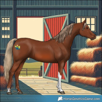 Horse Color:Chestnut Tobiano