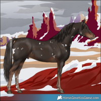 Horse Color:White Spotted Liver Chestnut 