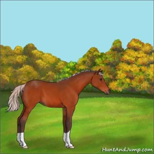Horse Color:Silver Brown 