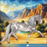 Horse Color:Platinum White Spotted Chocolate Palomino Splash 