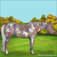 Horse Color:Nacre White Spotted Silver Black