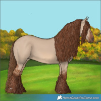 Horse Color:Red Dun 
