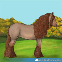 Horse Color:Red Dun