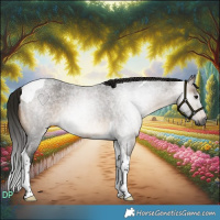 Horse Color:Gray Buckskin Roan Tobiano 