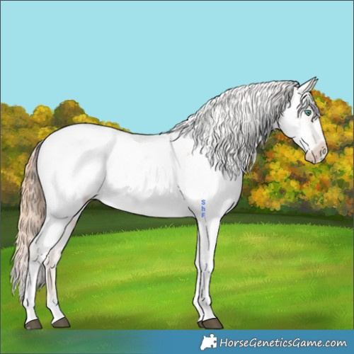 Horse Color:Smoky Black Pearl Tobiano Appaloosa Rabicano 