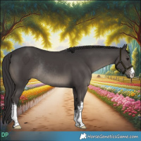 Horse Color:White Spotted Smoky Black Rabicano 