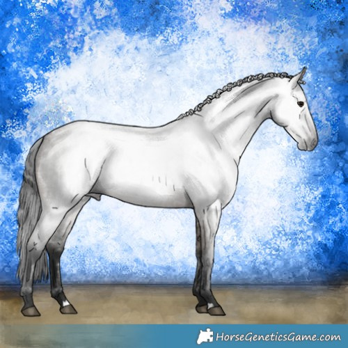 Horse Color:Gray Brown Roan Dun 