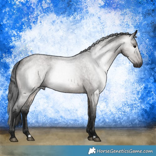 Horse Color:Gray Brown Roan Dun 