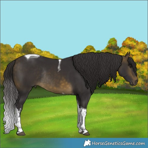 Horse Color:White Spotted Buckskin Tobiano Rabicano 