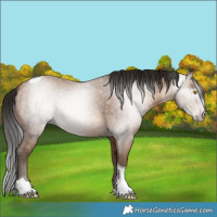 Horse Color:Gray Amber Champagne Tobiano 
