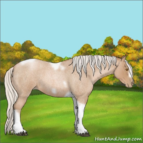 Horse Color:Silver Blue Roan Pearl Tobiano Frame