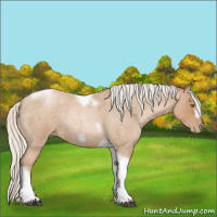 Horse Color:Silver Blue Roan Pearl Tobiano Frame