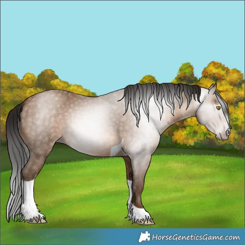 Horse Color:Gray Amber Champagne Tobiano