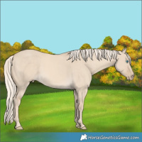 Horse Color:Cremello Dun 