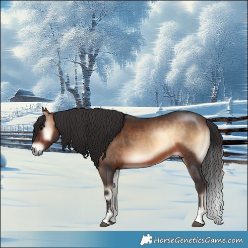 Horse Color:Bay Onyx Sabino 