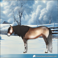 Horse Color:Bay Onyx Sabino 