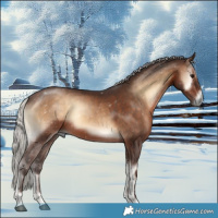 Horse Color:Silver Brown Onyx Sabino 
