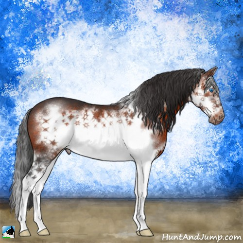 Horse Color:Brown Mushroom Splash Frame 