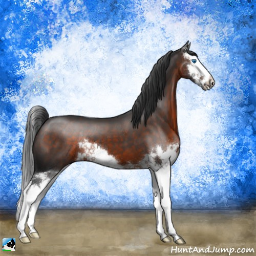 Horse Color:Brown Splash