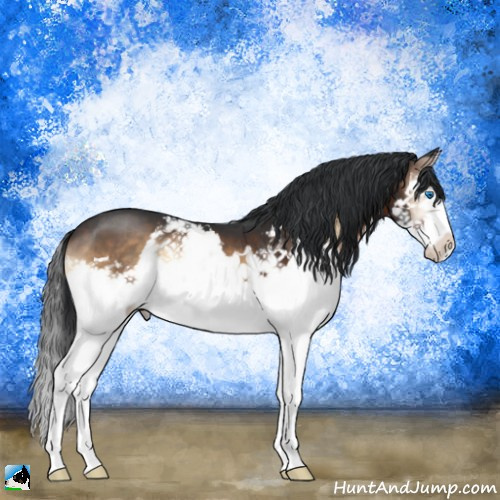 Horse Color:Brown Onyx Splash 