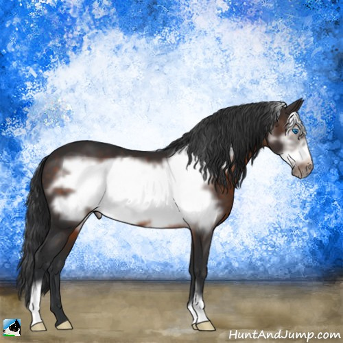 Horse Color:Brown Frame 