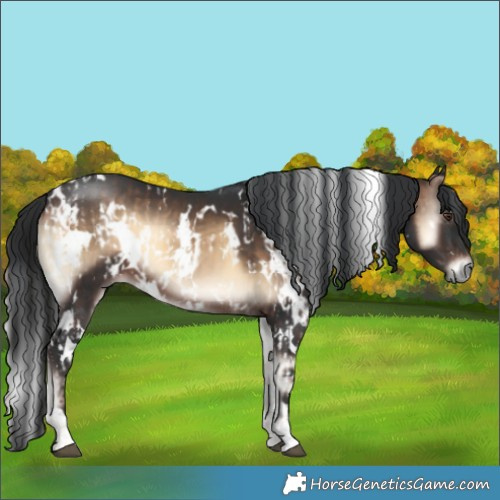 Horse Color:White Spotted Liver Red Onyx  and White Spotted Brown Onyx 
