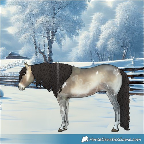 Horse Color:White Spotted Brown Ice Onyx 
