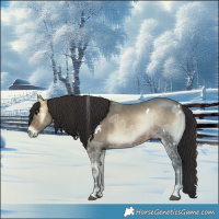 Horse Color:White Spotted Brown Ice Onyx 