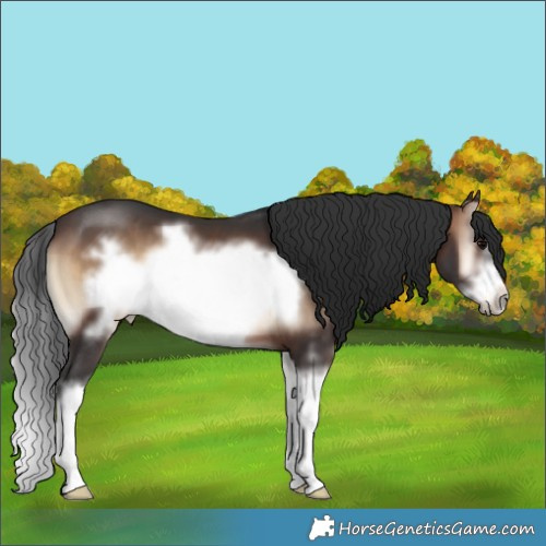 Horse Color:Brown Onyx Sabino Splash Frame 