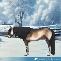 Horse Color:Brown Onyx 