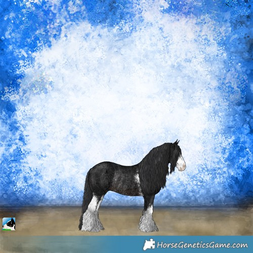 Horse Color:Brown Ice Sabino Rabicano 