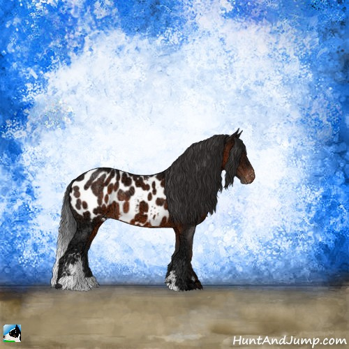 Horse Color:Brown Ice Sabino Appaloosa Rabicano 