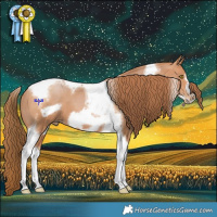 Horse Color:Bay Pearl Tobiano Frame