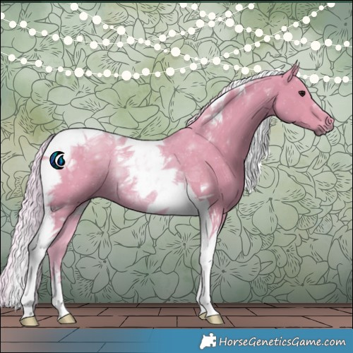 Horse Color:Watercolor Silver Black Tobiano Rabicano 