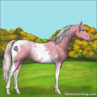 Horse Color:Watercolor Silver Black Tobiano Rabicano