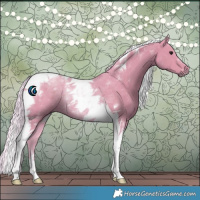 Horse Color:Watercolor Silver Black Tobiano Rabicano 