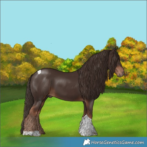 Horse Color:Liver Chestnut Tobiano 