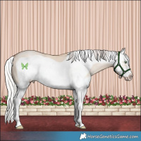 Horse Color:Silver Sable Champagne Dun Splash Frame 