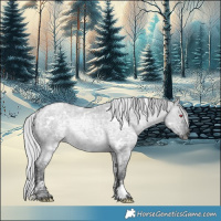 Horse Color:White Spotted Silver Grullo Chinchilla Ice 