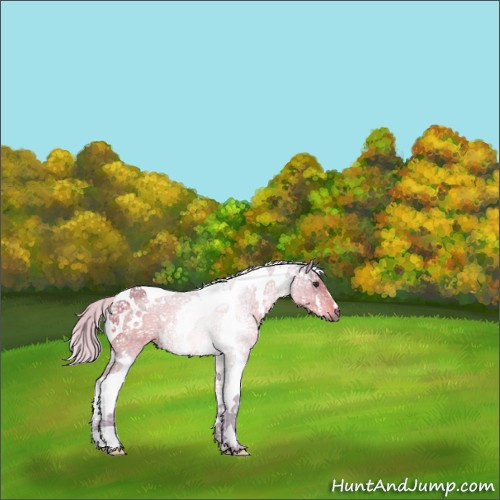 Horse Color:Watercolor White Spotted Chocolate Silver Brown Ice Tobiano 