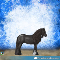 Horse Color:Liver Chestnut Sabino Rabicano
