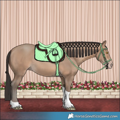 Horse Color:Sable Champagne Tobiano Rabicano 