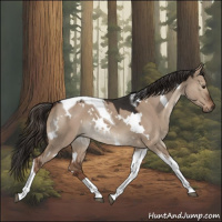 Horse Color:White Spotted Liver Red Dun Tobiano 