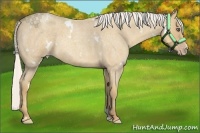 Horse Color:White Spotted Silver Classic Cream Champagne Roan 
