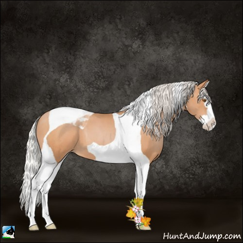 Horse Color:Silver Black Pearl Splash Tobiano 