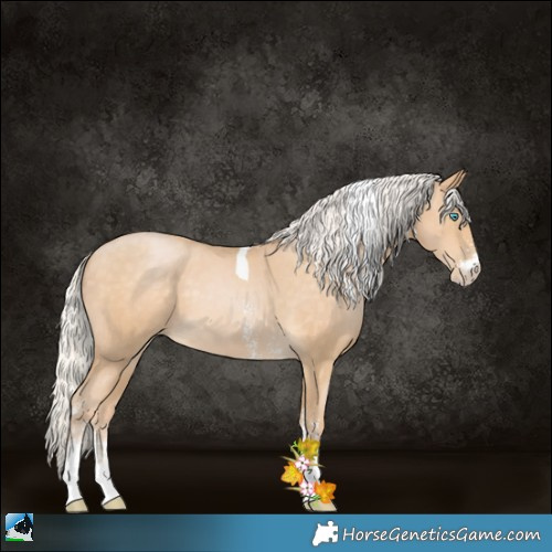 Horse Color:Silver Buckskin Pearl Sabino Tobiano 