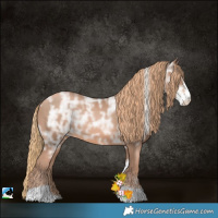Horse Color:Liver Chestnut Ice Pearl Sabino Tobiano Rabicano 