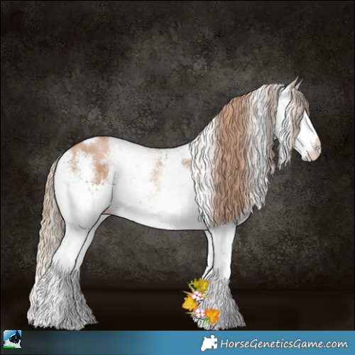 Horse Color:Liver Chestnut Pearl Sabino Rabicano 